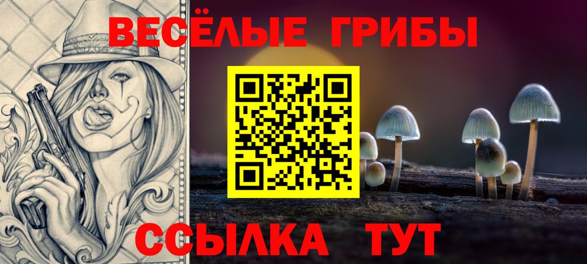 Керчь  Галлюциногенные грибы GOLDEN TEACHER  продажа наркотиков  Вход с VPN  Псилоцибиновые грибы MAGIC MUSHROOMS 
